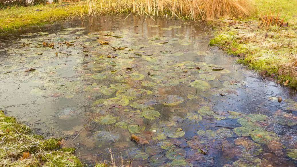 漁業(yè)水產(chǎn)養(yǎng)殖水質(zhì)監(jiān)測與預(yù)警系統(tǒng) 智能監(jiān)控管理(圖1) 漁業(yè)水產(chǎn)養(yǎng)殖水質(zhì)監(jiān)測與預(yù)警系統(tǒng) 智能監(jiān)控管理(圖1)